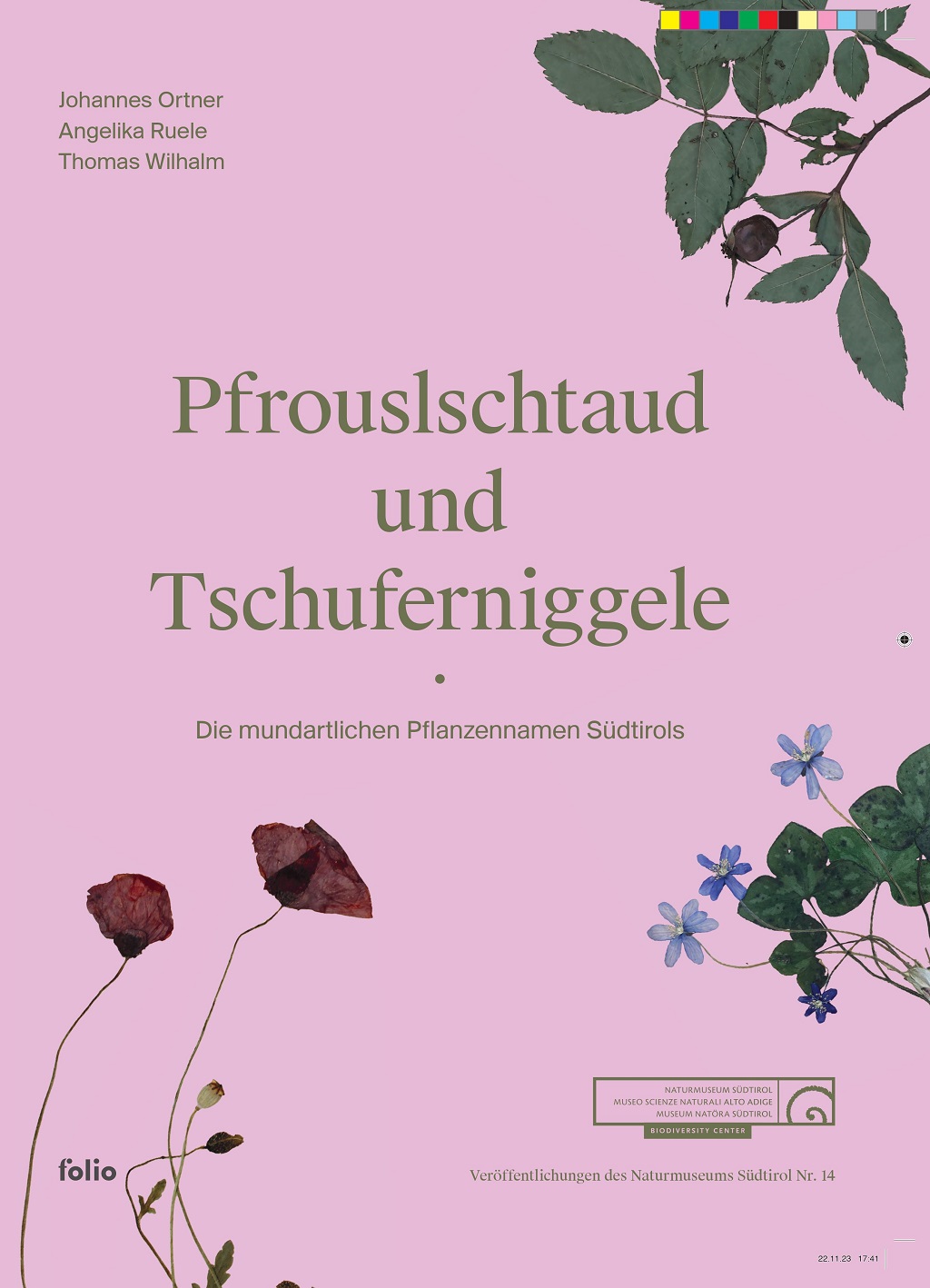 copertina del libro Pfrouslschtaud und Tschuferniggele